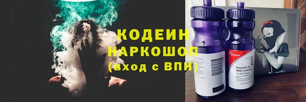 хмурый Алзамай