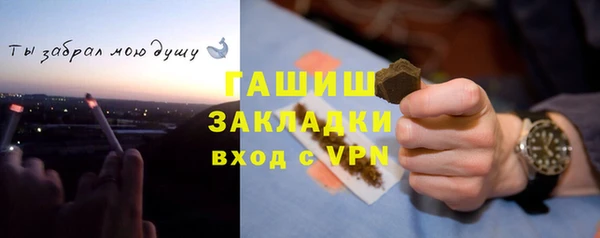 хмурый Алзамай