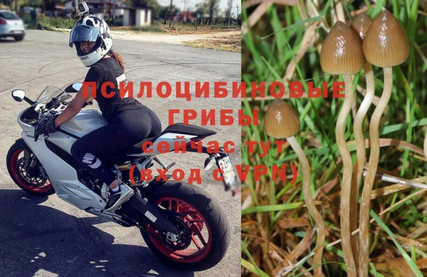 хмурый Алзамай