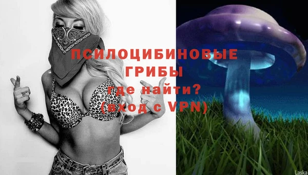 прущие грибы Алексин