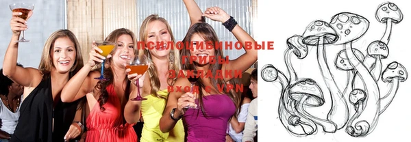 крисы Алексеевка