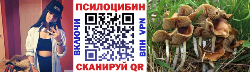 Галлюциногенные грибы GOLDEN TEACHER  гидра tor  Покров 