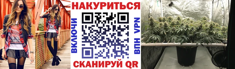 Конопля планчик  купить наркоту  Покров 